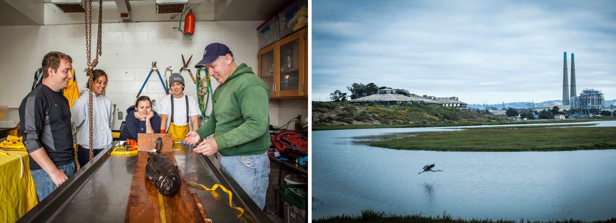 A view of MLML and of a professor and students working with marine life.